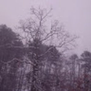 Meet your Posher, Roberto